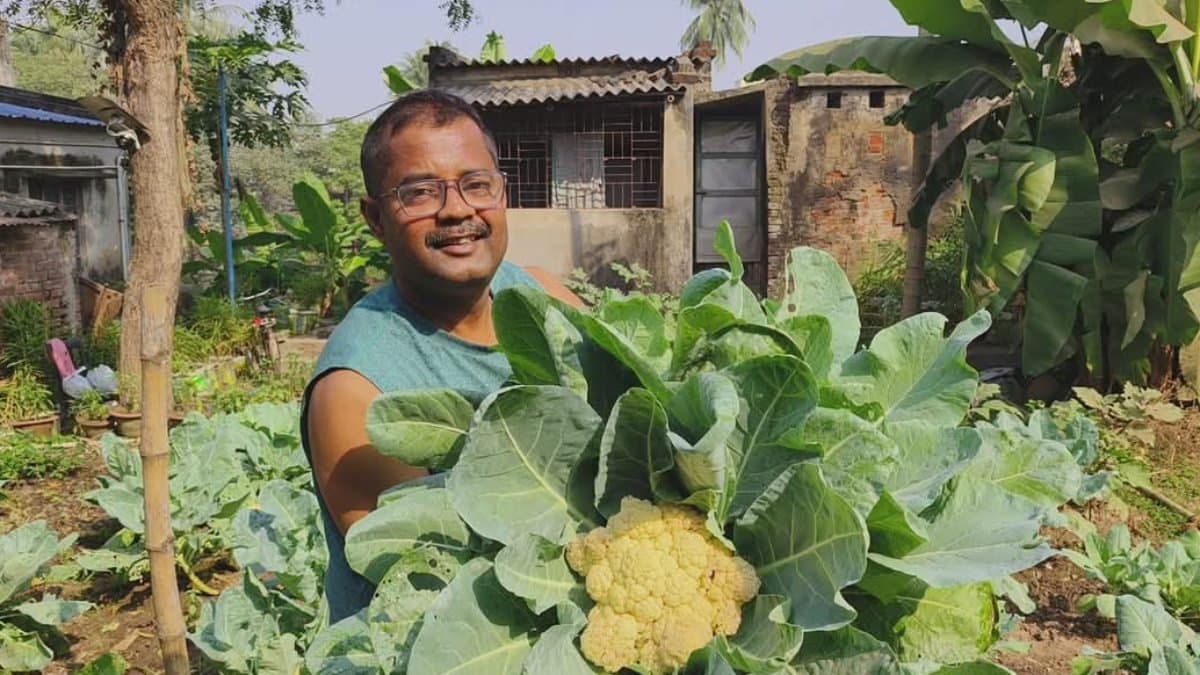 This man from Bardhaman is growing vegetables on his roof without any pesticide gnr