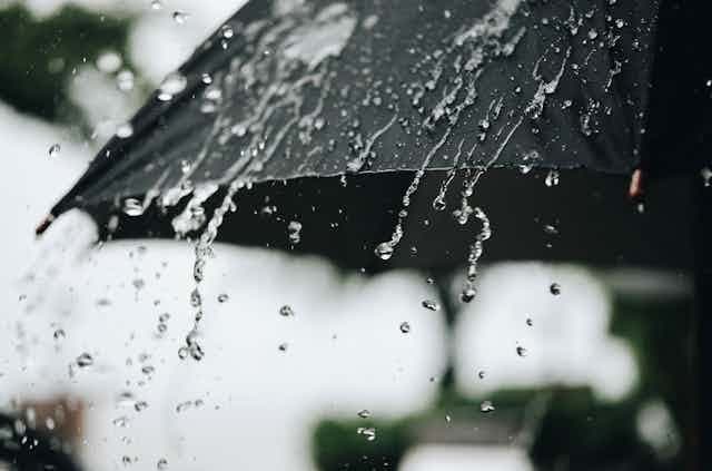 Weather Update: আগামী ৫ দিন কলকাতা সহ দক্ষিণবঙ্গে বজ্রবিদ্যুৎ সহ বৃষ্টির পূর্বাভাস 