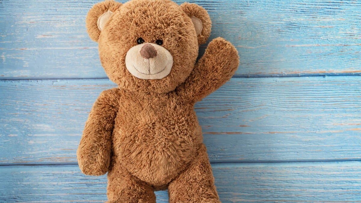 Teddy Bear Found On California Sidewalk look alike made by Human Skin know the truth