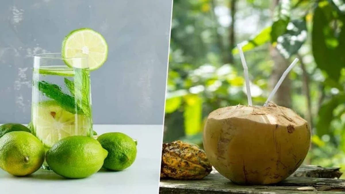These drinks can boost your metabolism and improve immune system lif