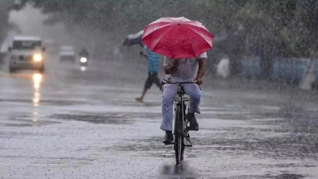 IMD Weather Update Light to Moderate Rainfall Forecast in West Bengal gnr 