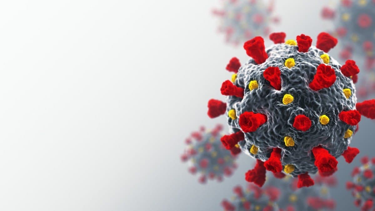 Covid 19 Update Covid deaths cross 100 what to know now 