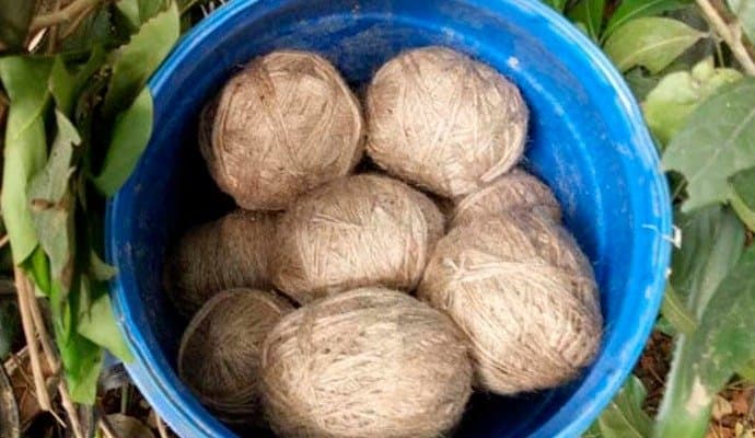 Bhangar: ফের ভাঙড়ে বোমা উদ্ধার 
