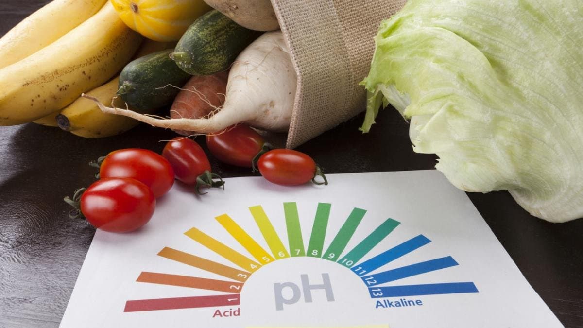 Acidic or alkaline which type of food is better for summer