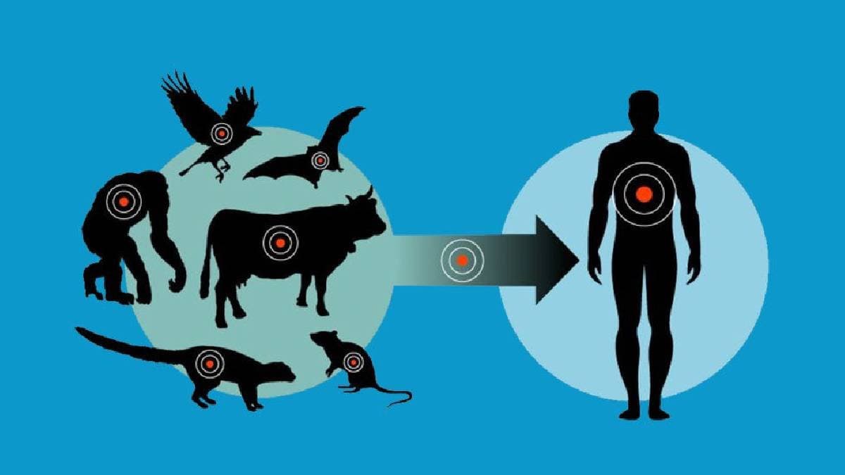 Zoonotic diseases are big threaten for human health gnr 