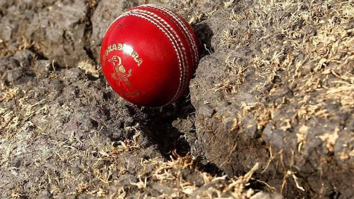 'Snake Cracks' On Perth Test Pitch? Chief Curator Makes Big Revelation gnr