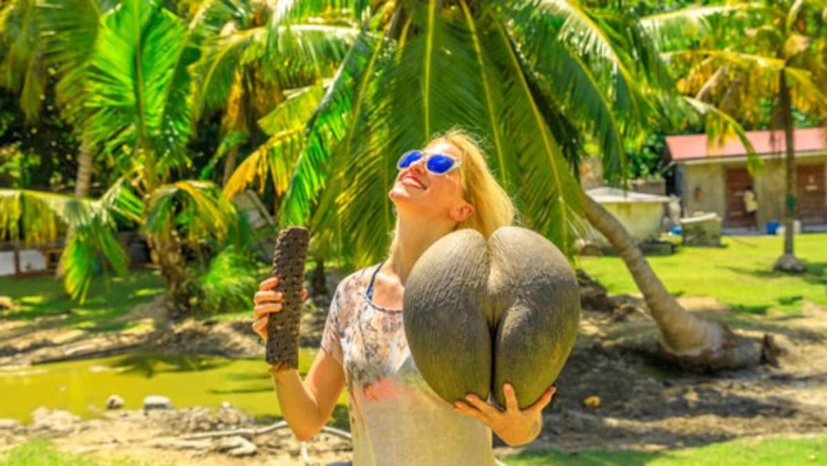 This is most expensive coconut in the world only found in one country