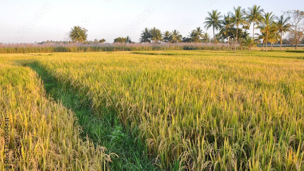 Karnataka Farmer Ends His Life Over Unresolved Land Dispute 