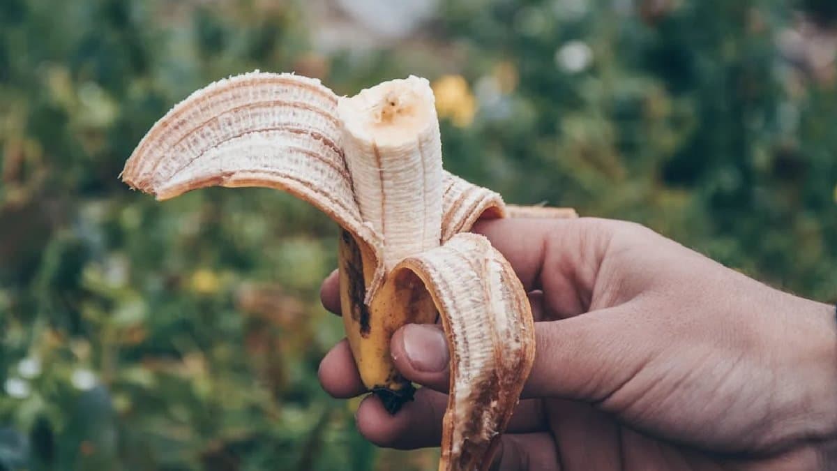 Man amputates his own genitalia after eating some bizarre mushroom