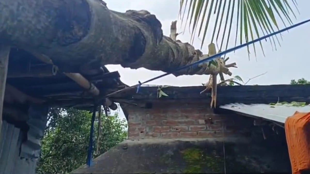 Many areas of Nadia s Haringhata devastated due to sudden storm