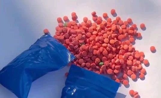 DRUGS: ত্রিপুরায় আটক ৫ কোটি টাকার নেশার সামগ্রী