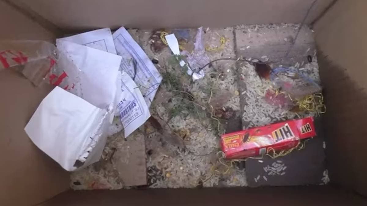  15 students consumed mid-day meal in Tamil Nadu caught food poison