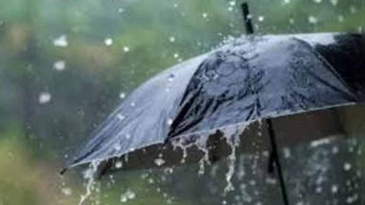 IMD Weather Forecast Yellow Alert For Thunderstorm In North Bengal