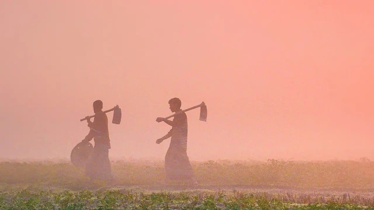 IMD Weather Update Winter Forecast of West Bengal