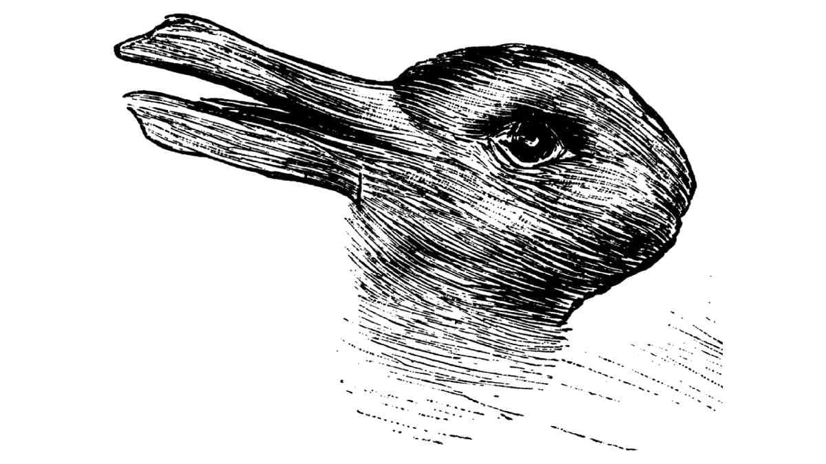 This optical illusion can tell a lot about your brain