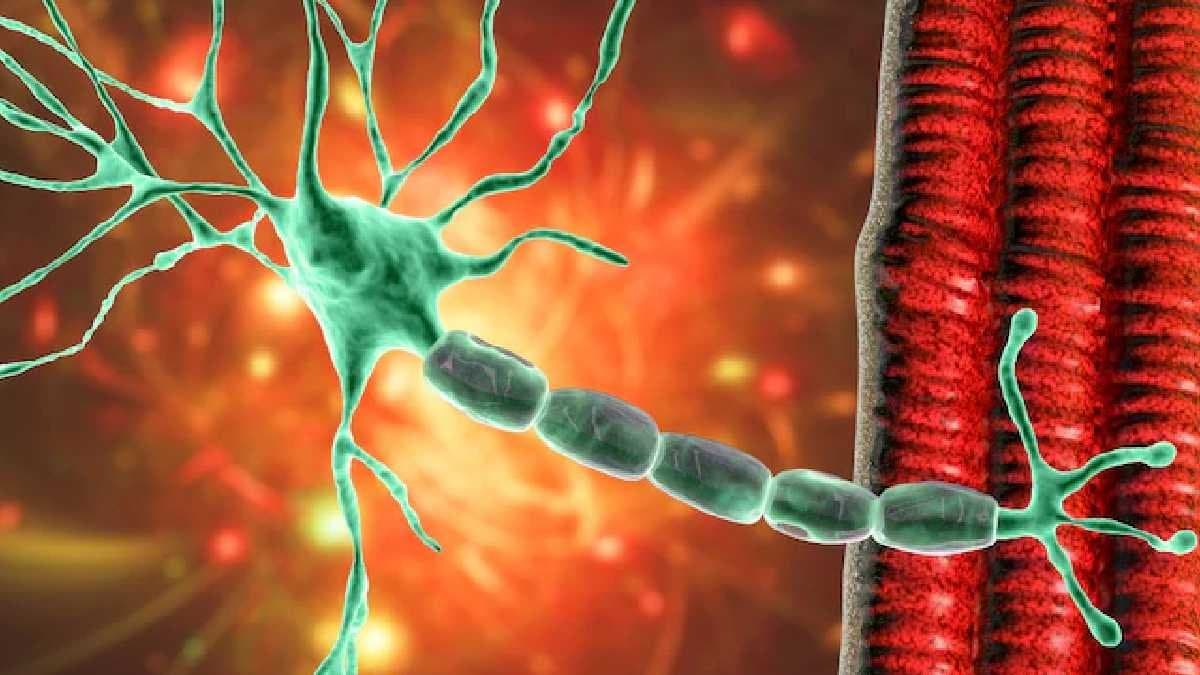 Maharashtra reported two more deaths on Guillain Barre Syndrome gnr