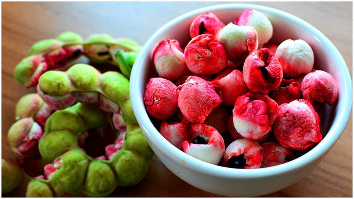 Liver detox and Clearing constipation among top benefits of tamarind or imli