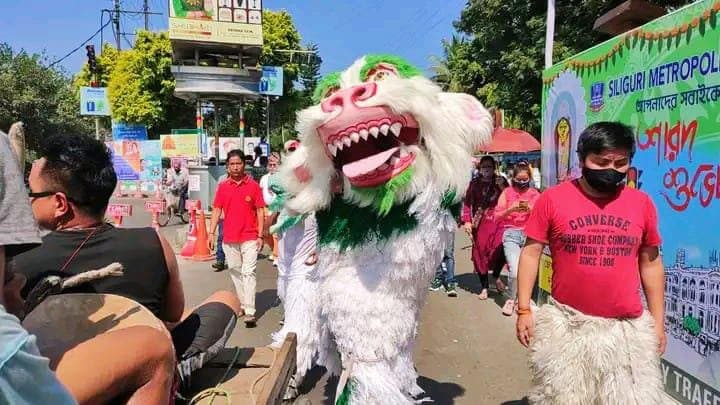 North Bengal: দুর্গাপুজোর সময়ে বড়া দশেইন উৎসবের প্রস্তুতি উত্তরের পাহাড়-তরাই-ডুয়ার্সে