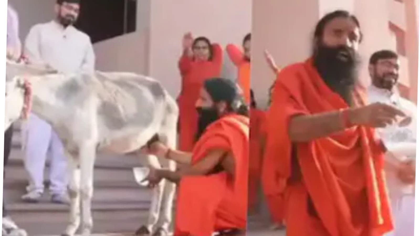 Recently a video of Baba Ramdev drinking donkey milk and discussing its benefits went gone viral_gnr