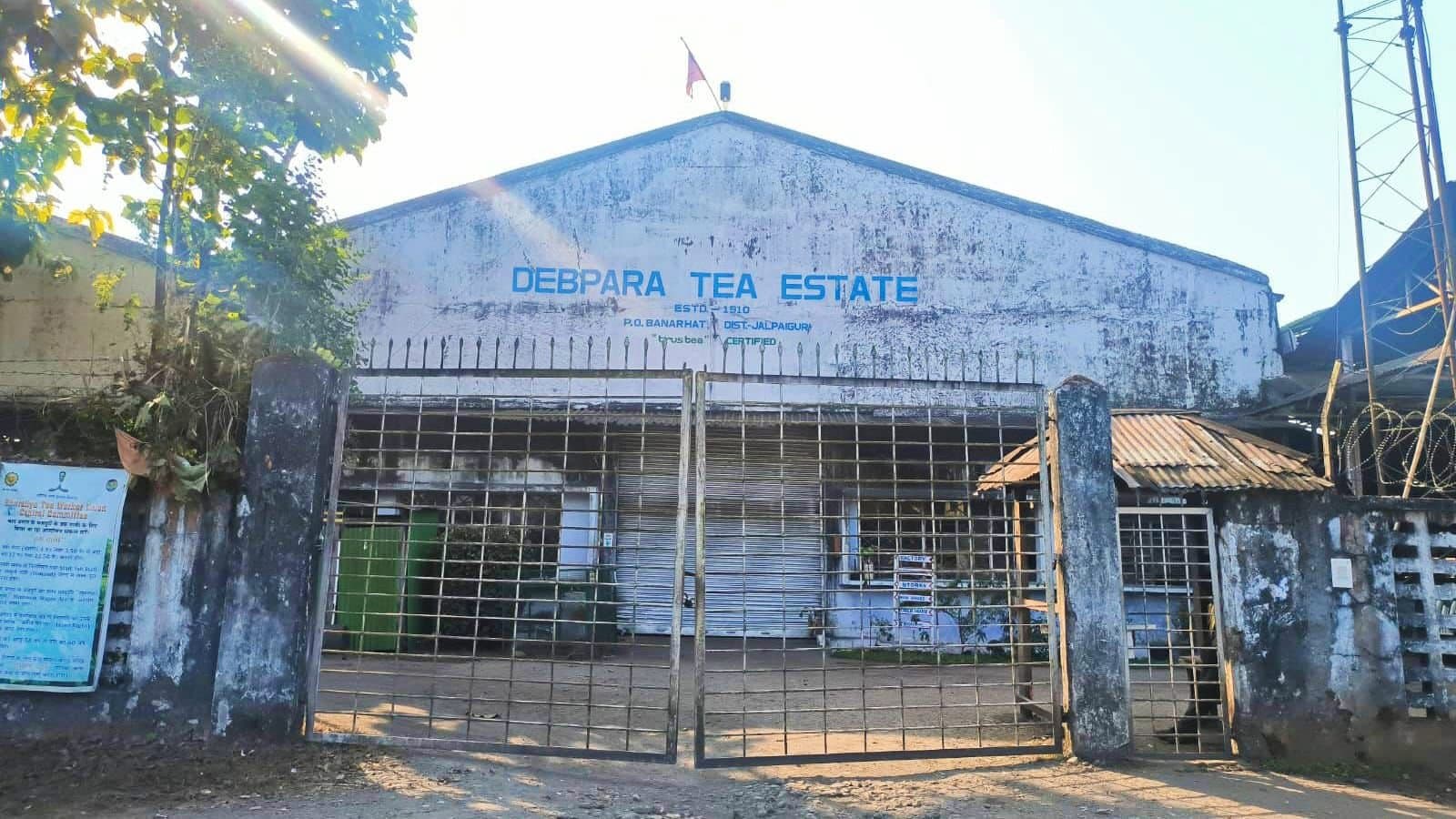 TEA: দেবপাড়া কারখানার 'ভোঁ' বাজাই সার, কাজে নেই কোনও শ্রমিক