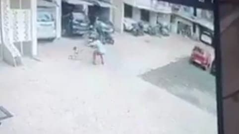 Toddler Survives Fall From 13th Floor Balcony Due To Mans Quick Thinking In Maharashtra gnr