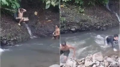 Man Escapes Massive Python Attack Just Seconds Before Disaster