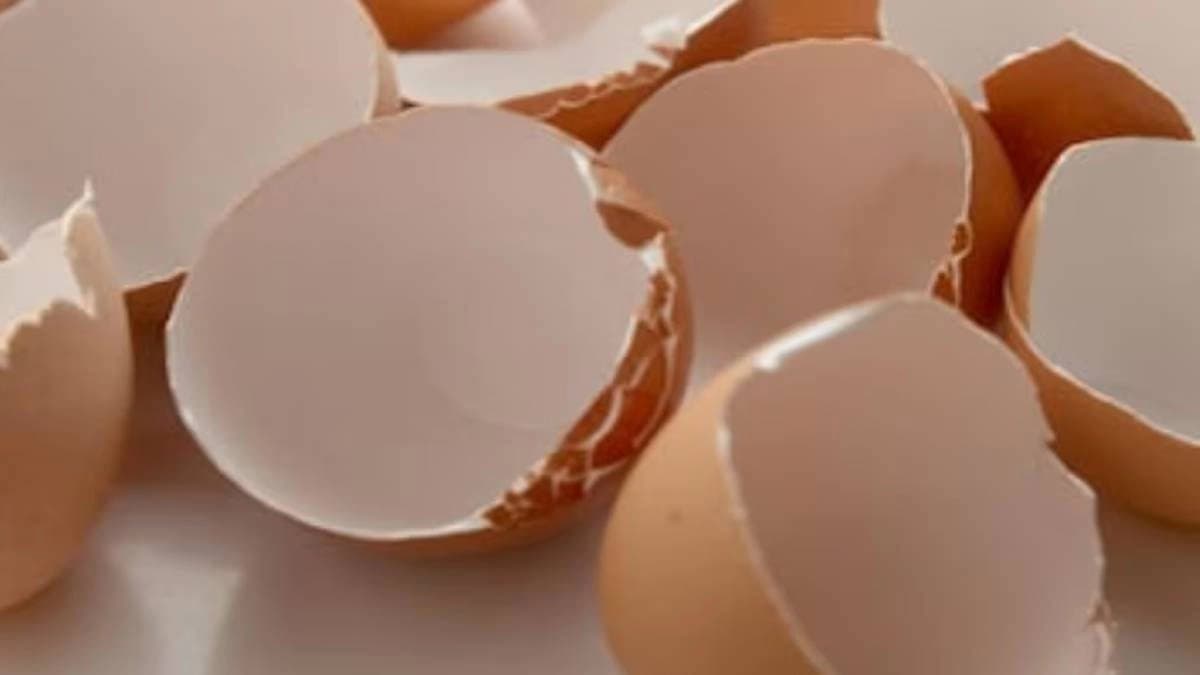 How to use eggshells for home cleaning