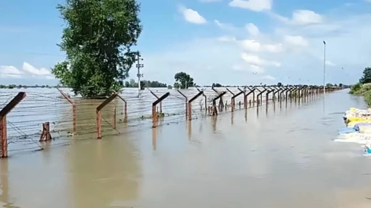 Devastating flood damages 110 km border fence at punjab jammu border