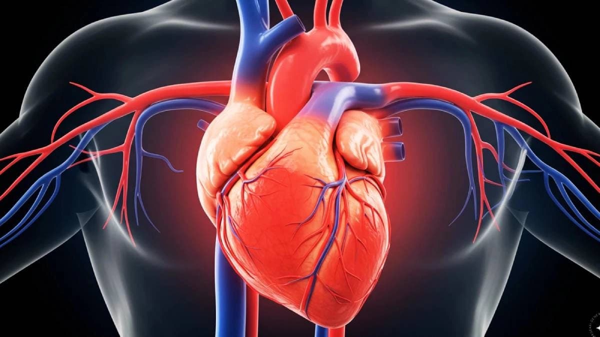Know The Unusual Signs Of A Heart Attack Except Chest Pain