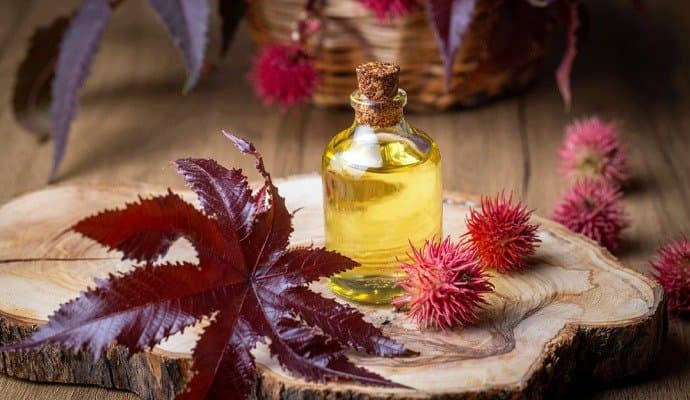 Can castor oil promote hair growth? Read on