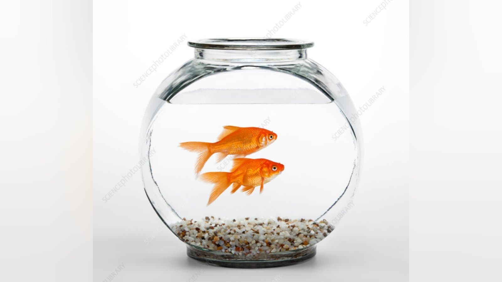 how  to check positive and negetive energy in your home lif