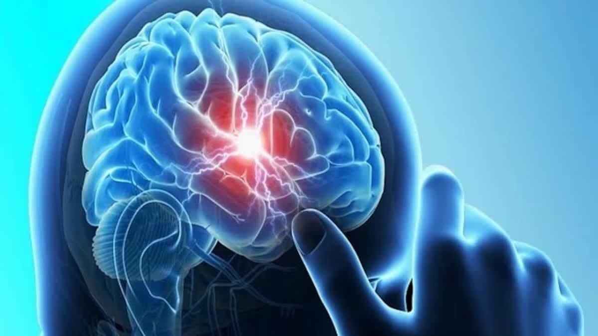 BIHAR: ফের বিহারে চামকি জ্বরের প্রকোপ! আরারিয়ায় শিশুমৃত্যুতে আতঙ্ক!