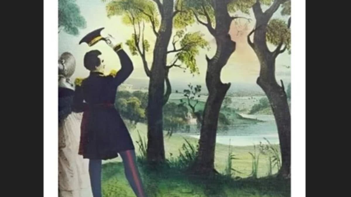 Optical Illusion: find the woman hidden in the picture