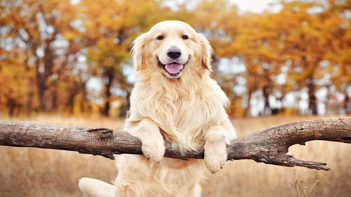 Strange trend in dating app goes viral