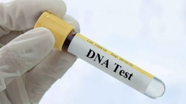 Woman Secretly DNA Tests Granddaughter Results Shattered Her Family