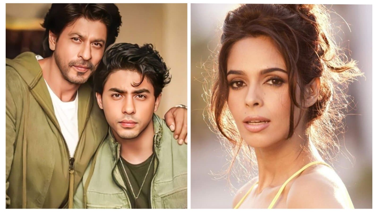 Bollywood: শাহরুখ-আরিয়ানের গোপন কিসসা থেকে ১০ বছর, 'গণধর্ষণ' এবং মল্লিকা শেরাওয়াত!  