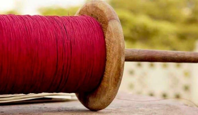 Rajasthan: চিনা মাঞ্জায় গলা কেটে মৃত্যু পঞ্চম শ্রেণির ছাত্রের, আহত ৫ 