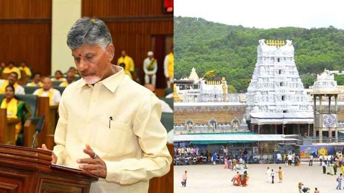 Chandrababu Naidu claims animal fat used in Tirupati laddoo gnr 