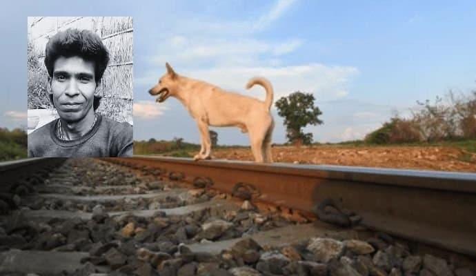  45 years old man sacrifised his life to save street dogs gnr 