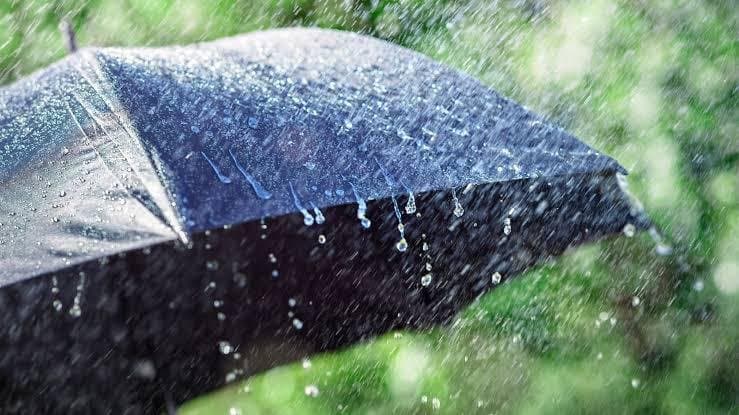 Monsoon: ‌দেশে এবার স্বাভাবিকের চেয়ে বেশি বৃষ্টি হবে, জানাল আইএমডি