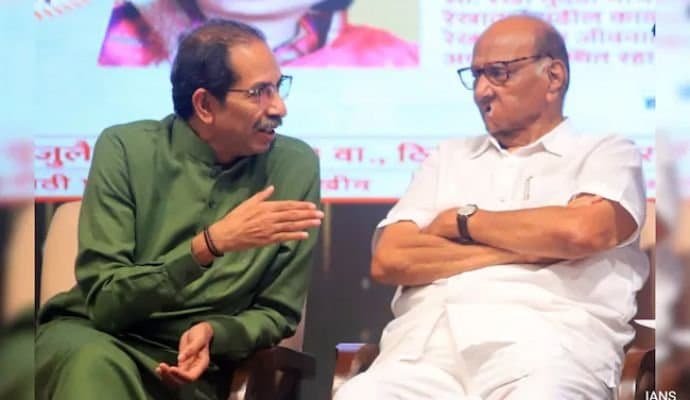 In Maharashtra, OGs Uddhav Thackeray, Sharad Pawar Stand Tall