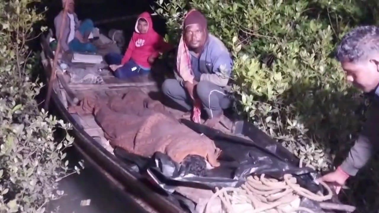 Fisherman killed by tiger in Sundarbans