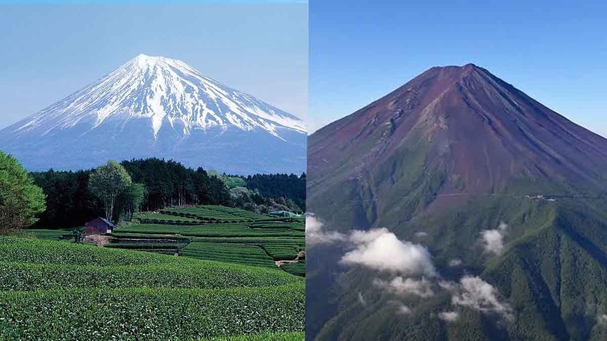 Mount Fuji has no snow for the first time in 130 years, know the reason gnr