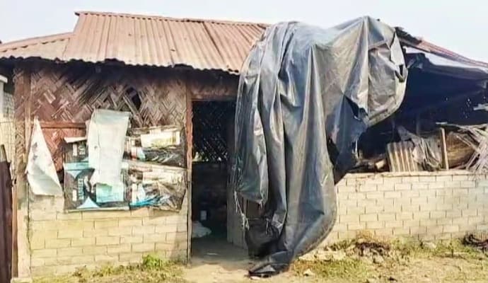 Elephant: ‌‌গভীর রাতে হাতির হানা, মৃত এক