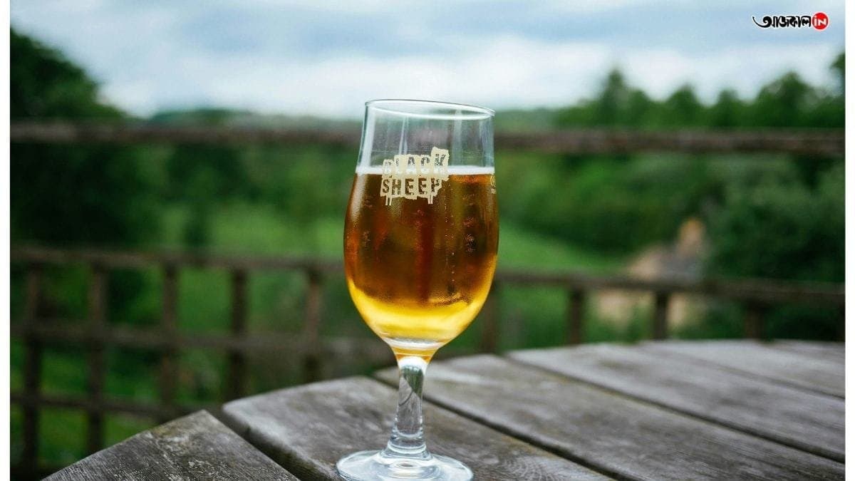  man claims to find a lizard floating in a beer bottle  gnr