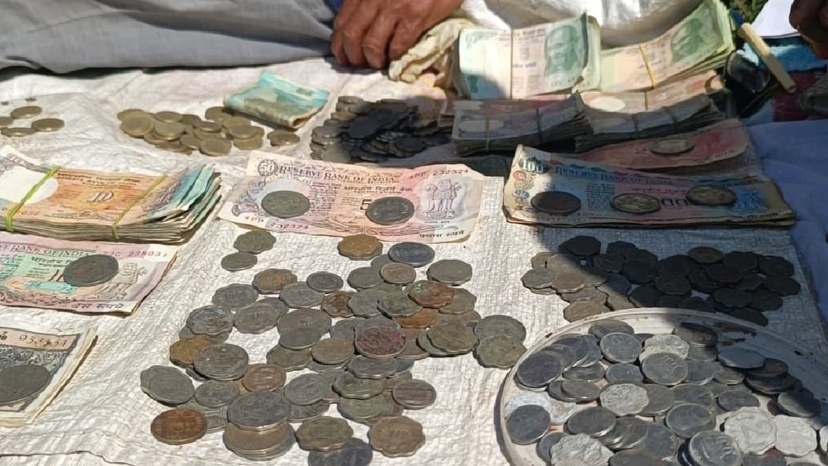 Childhood hobbies are now a way of  earning know about this mans story 