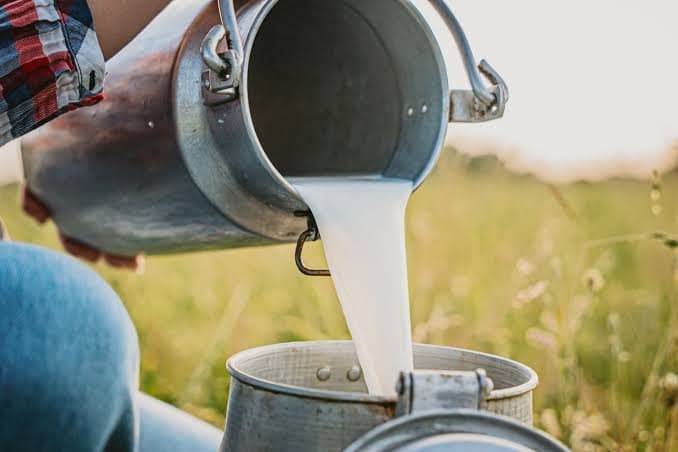 Doctor Highlights The Dangers Of Consuming Raw Milk, here what he said? Gnr 