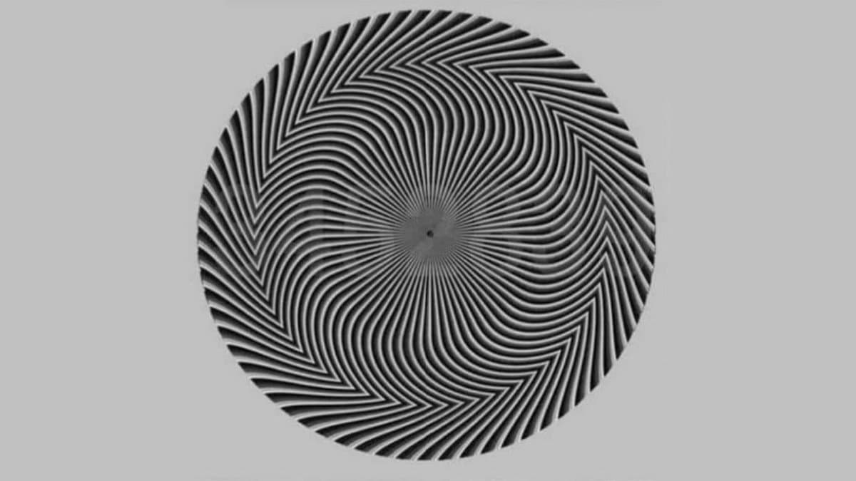 Optical illusion Solve this visual puzzle to test your eyes lif