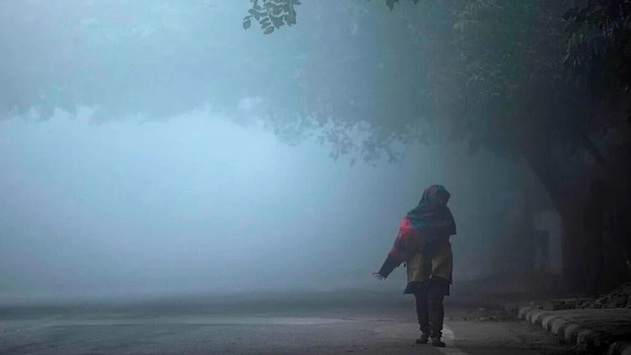 IMD Weather Forecast: Light Fog Temperature Drops Winter Update In West Bengal This Week