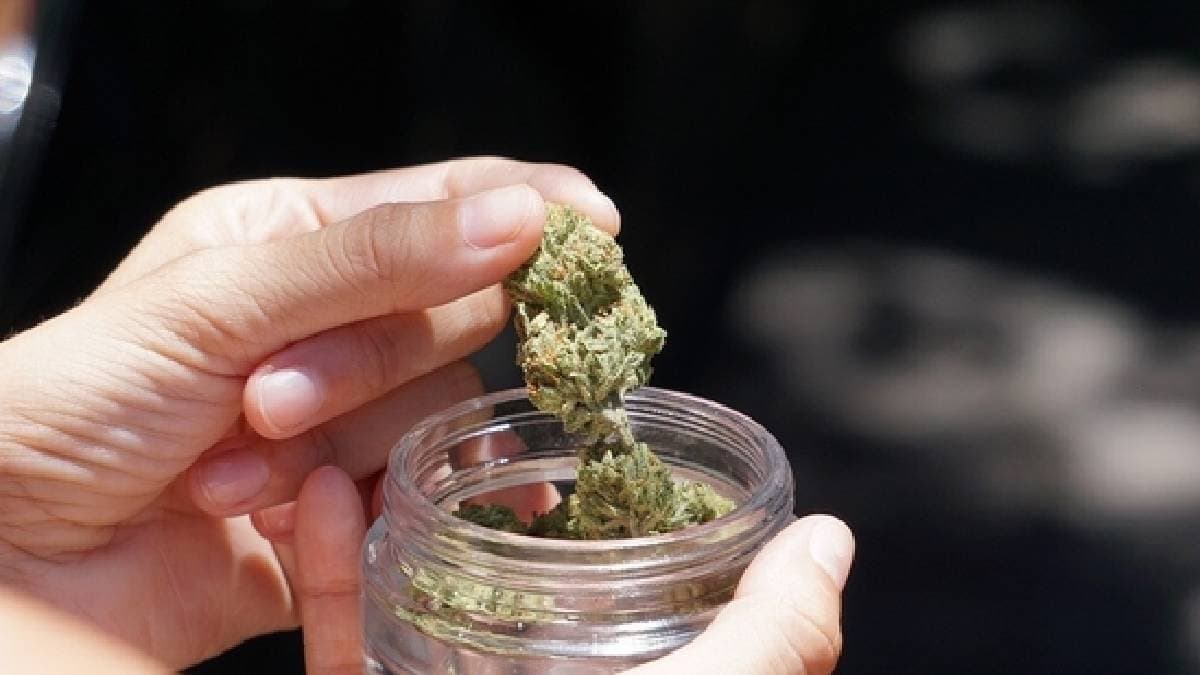 Drug Leader Dharamveer Arrested In Rajasthan